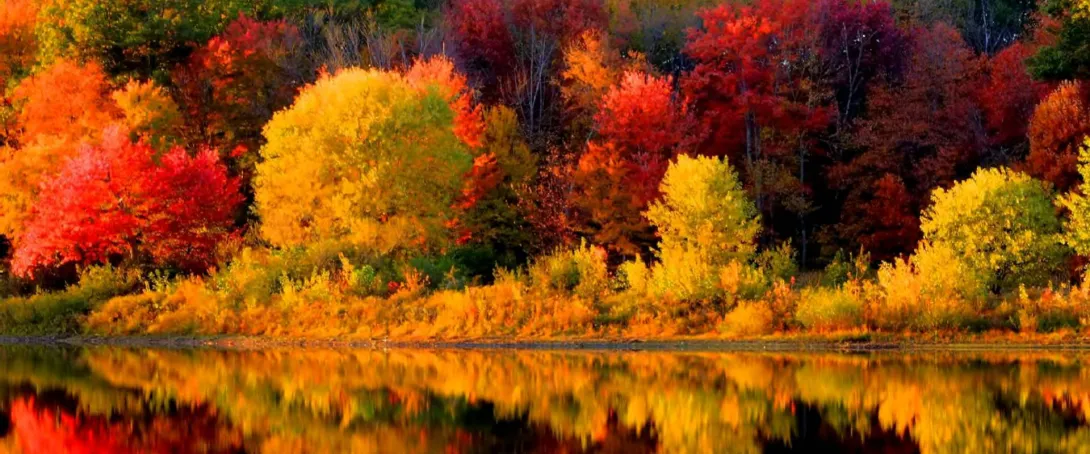 VERMONT | Nova Inglaterra | EUA